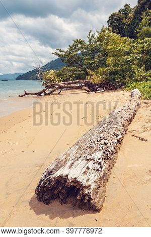 Dream Paradise Beach In Masoala National Park In Vivid Colors, Madagascar, Africa Wilderness, Beauti