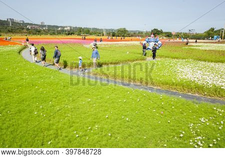 Daxi, Taiwan - November 15th, 2019: tourists walk at the garden in Daxi event of Taoyuan Flower Festival in Taoyuan, Taiwan, Asia