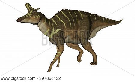 Lambeosaurus Dinosaur Walking Isolated In White Background - 3d Render