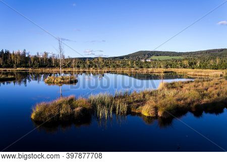 Moor Chalupska Slat With Birch And Pine Trees During Sunset, Sumava National Park, Czech Republic, S