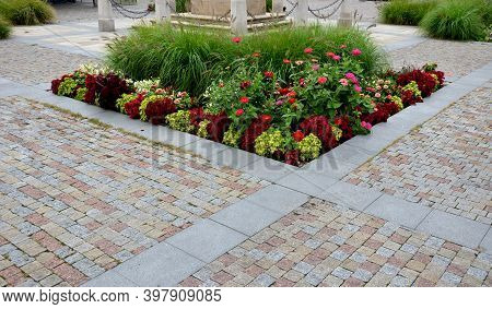 Perennial Flower Beds With Annual Plantations On The Edge Of The Flower Bed In Paving On The Granite