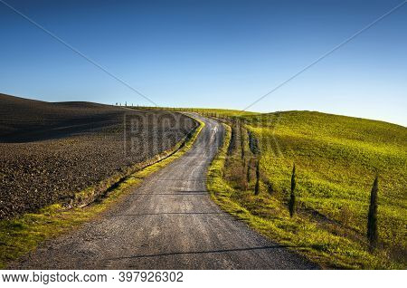 Monteroni D'arbia, Route Of The Via Francigena. Uphill Road, Field And Trees. Siena, Tuscany. Italy,