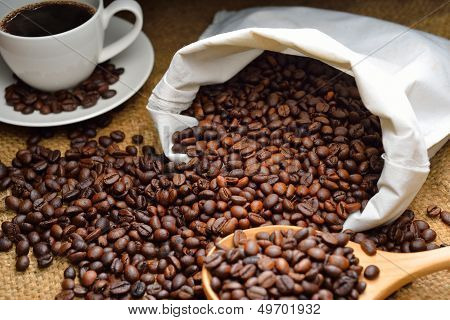 Coffee Beans