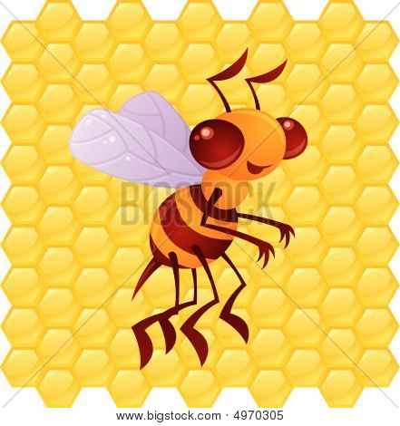 Honey Bee