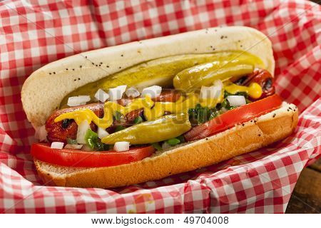 Chicago Style Hot Dog
