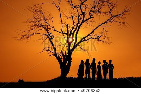 sunset harmony