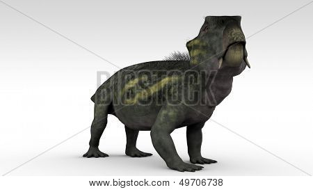 lystrosaurus isolated