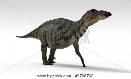 Wandern Shuangmiaosaurus isoliert auf weiss