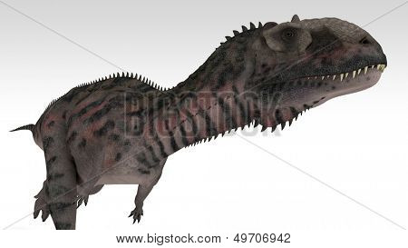 Majungasaurus izolované