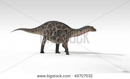 dicraeosaurus ที่แยกต่างหาก