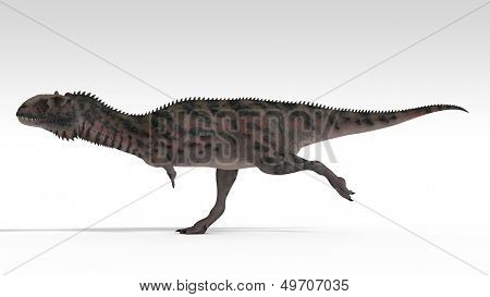 Majungasaurus izolované