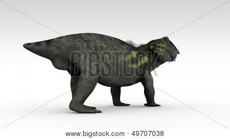 lystrosaurus isolated