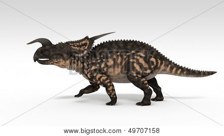 Einiosaurus isolerade