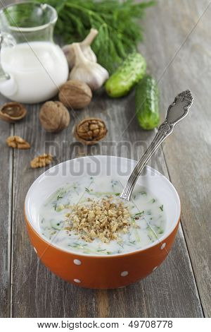 Tarator, Bulgarian Sour Milk Soup