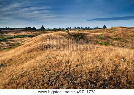 Dry Grass On Hills In Morning Sunlight