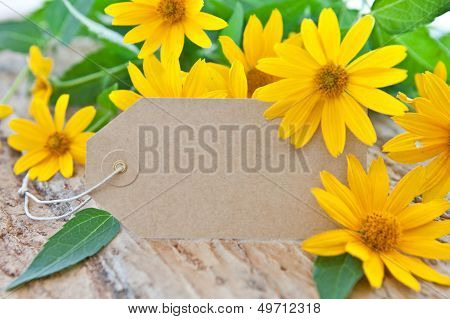 Blank Paper Tag And Yellow Coneflowers