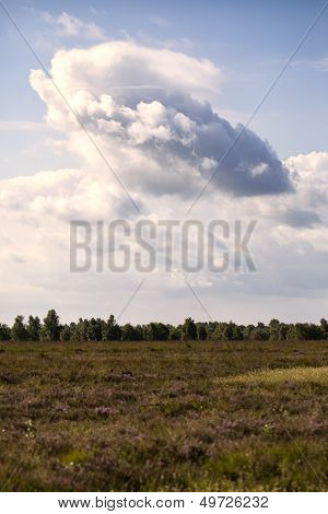 Bog - Cloud