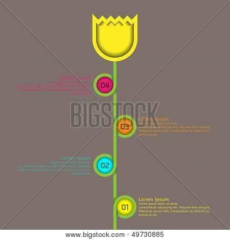 Infographic Flow Chart Flower Tulip