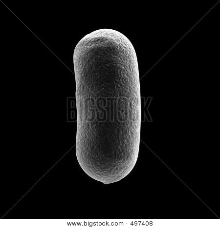 Bacillus_bacteria2