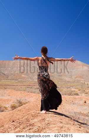 Flamenco In Malpais
