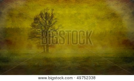 Lonely Tree In Fog