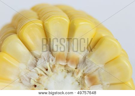Corn
