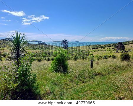 Landscape With Meadoews And Bushes