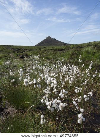Doan Mountain In The Mournes North Ireland