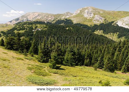 Ilgaz Mountains