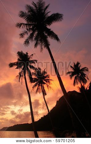 Tropical Beach With Palm Trees At Sunrise, Ang Thong National Marine Park, Thailand
