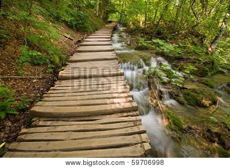Wooden Path In Forest