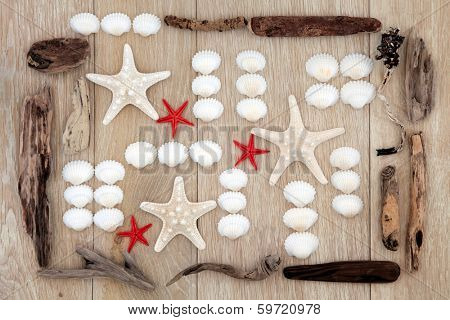Sea shell and driftwood abstract design with starfish over old oak background.
