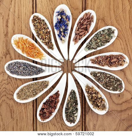 Medicinal herb selection also used in witches magical potions in white porcelain bowls over oak wood background.