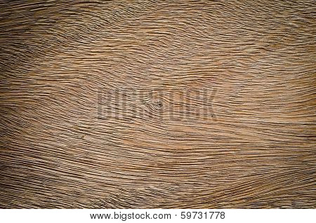 old wood background