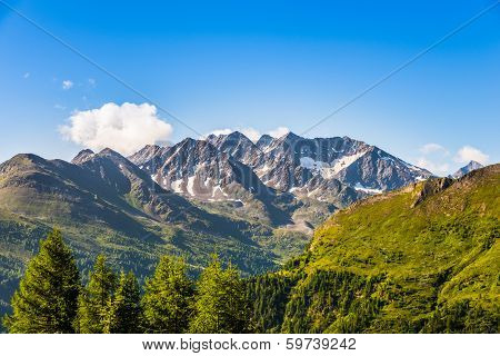 beautiful picture with trees in the foreground and high mountains in the background