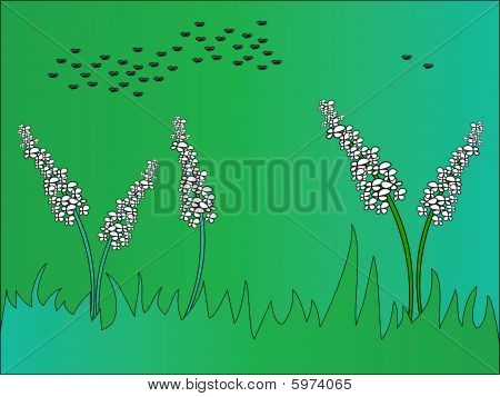 grass-plot