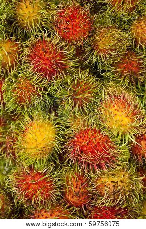 Rambutan