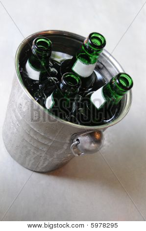 pivo