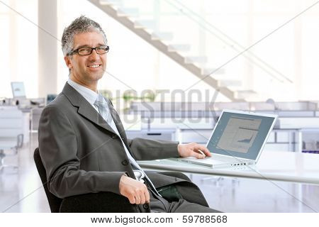 Mature businessman sitting at office desk using laptop computer, smiling.
