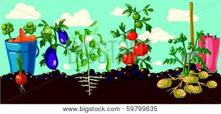 Vintage garden banner with root veggies