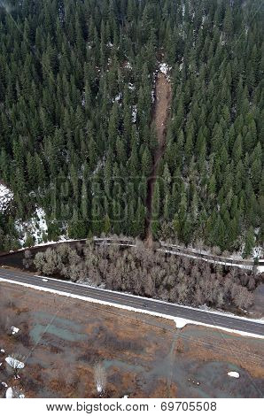 Washington Forest Mudslides
