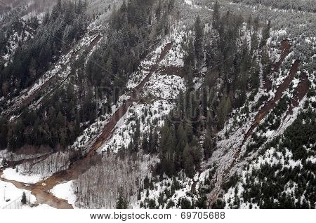 Washington Forest Mudslides