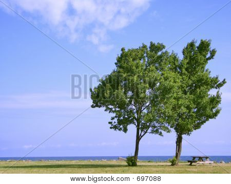Due alberi Picnic