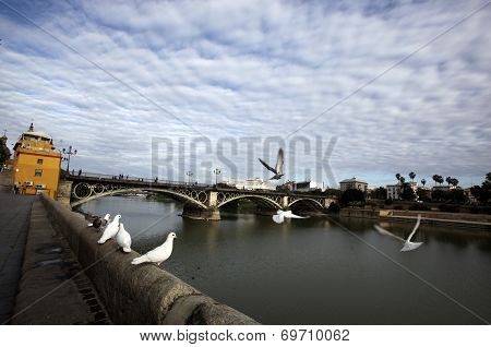 Street Scene in Seville, Spain