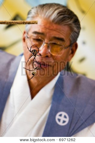 심판 보고 두 거미 싸움