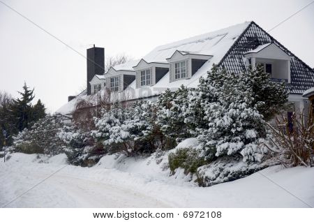 Winterhouse