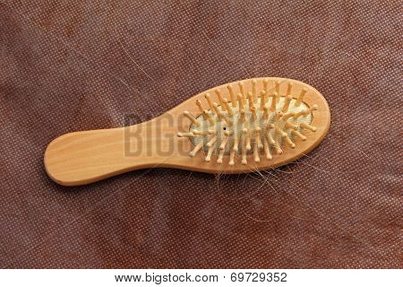 Hair Loss