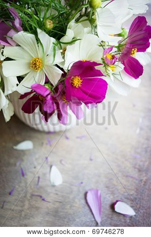 Coreopsis Flower In Interior