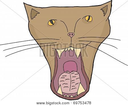 Isolated Cat Mouth