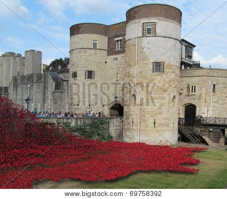 LONDON- AUGUST 7: 888,246 ceramic poppies, by artist Paul Cummins, where laid around the tower of london, to mark the 100th anniversary of britain entering the 1st world war. LONDON, AUGUST 7, 2014